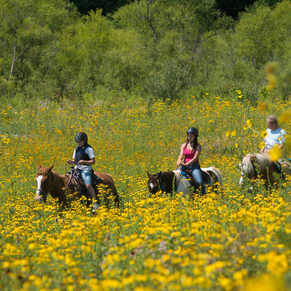 The Wilds, image by Grahm Jones