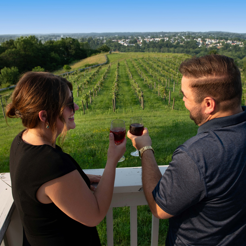 Georgetown Vineyards