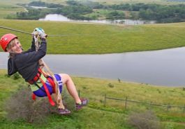 Zipline Safari Tour at The Wilds featured image