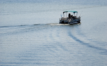 Sugartree Marina featured image