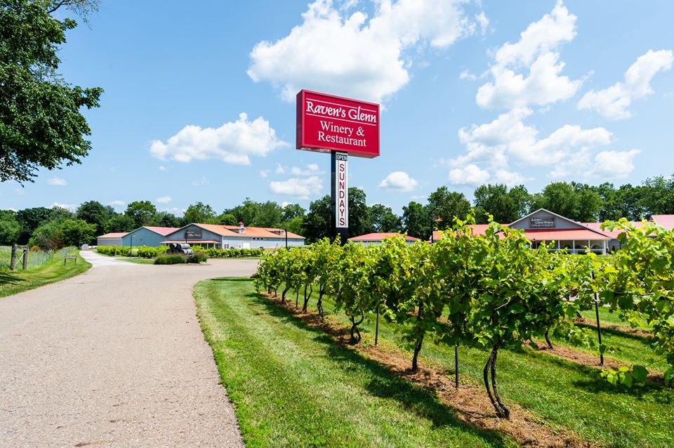 Raven’s Glenn Winery featured image