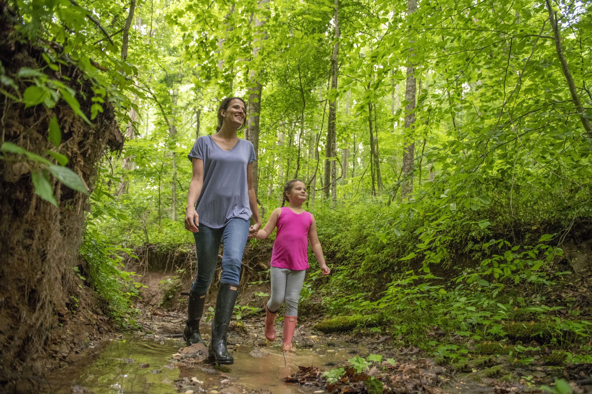 Salt Fork State Park Cambridge Ohio Guernsey County