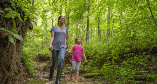 Salt Fork State Park featured image