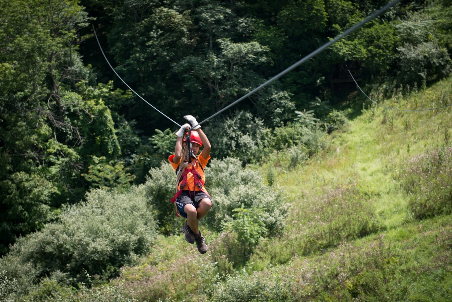 wilds zipline tour