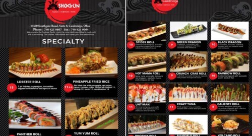 Shogun featured image