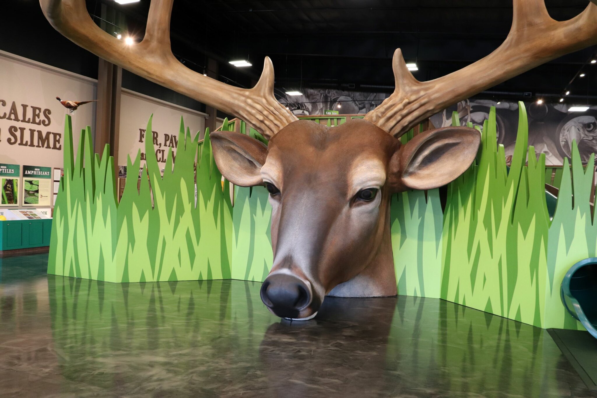 Deerassic Park Education Center Cambridge Ohio Guernsey County