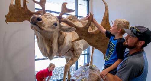 Deerassic Park Education Center/Welcome Center featured image