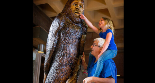The Legend of Bigfoot at Salt Fork State Park featured image