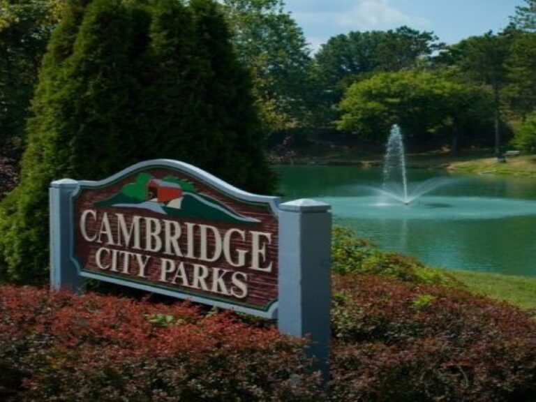 Cambridge park 768x576