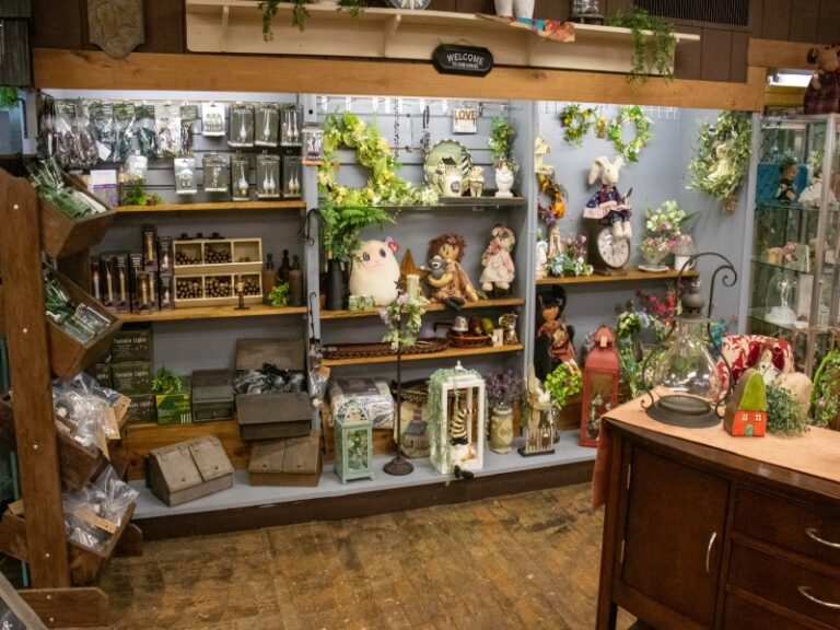 Contry Bits 2 768x576