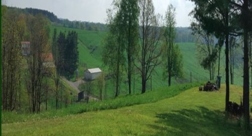 Elk View Campground featured image