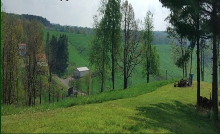 Elk View Campground 2 768x466