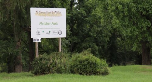 Fletcher Park featured image