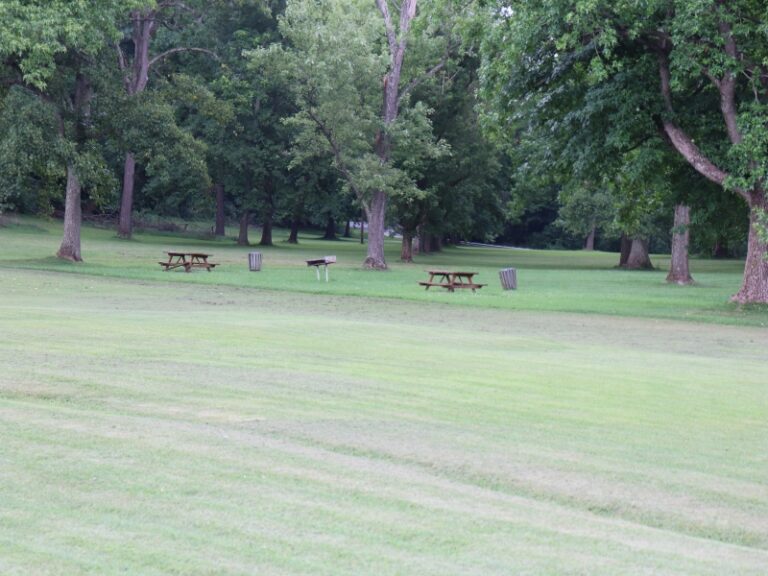 Fletcher park 2 768x576