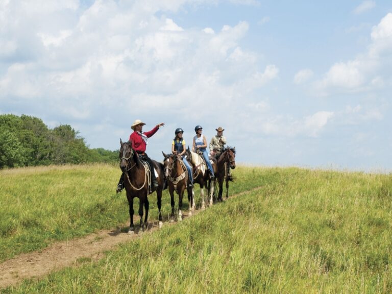 The Wilds Horseback Riding 768x576