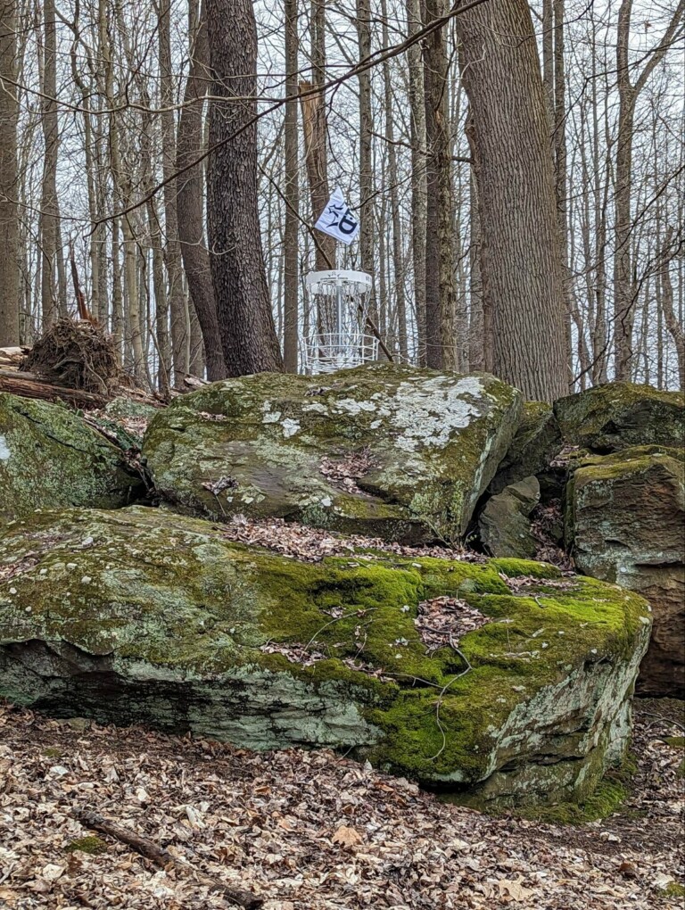 original 063483CB 2C51 4D7C BED8 4E36C4BBD875 2 768x1020