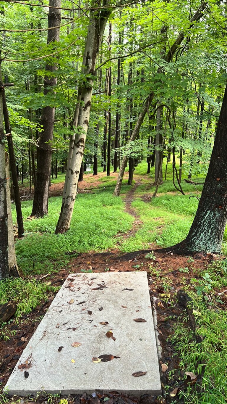 original 2DDB7354 C63B 4162 BB56 704C468E24A7 2 768x1365