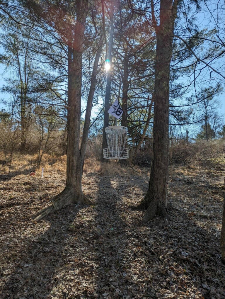 original DC6F9D63 8DC0 4A29 A2CC DC07B5E8F34F 2 768x1020