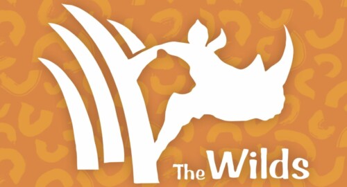 The Wilds featured image