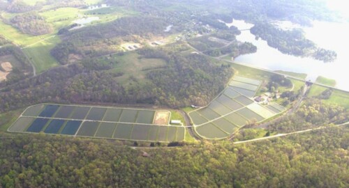 Senecaville Fish Hatchery featured image
