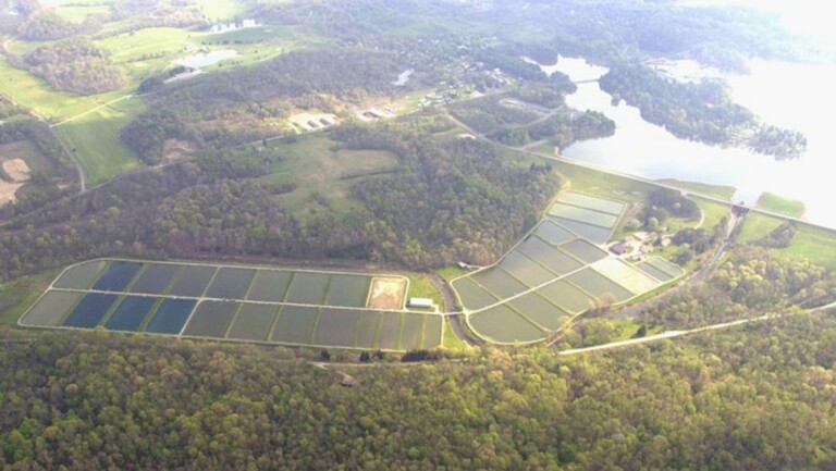 March 2024 29 1 768x433