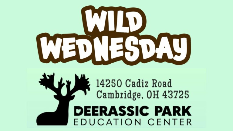 March 2024 21 768x433