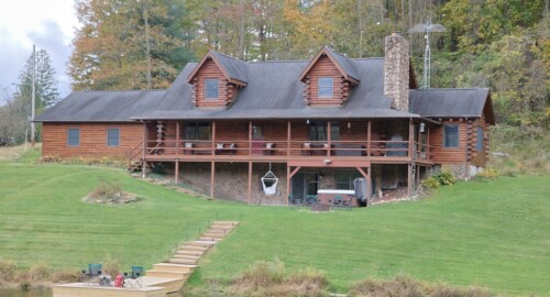 Black Bear Holler featured image