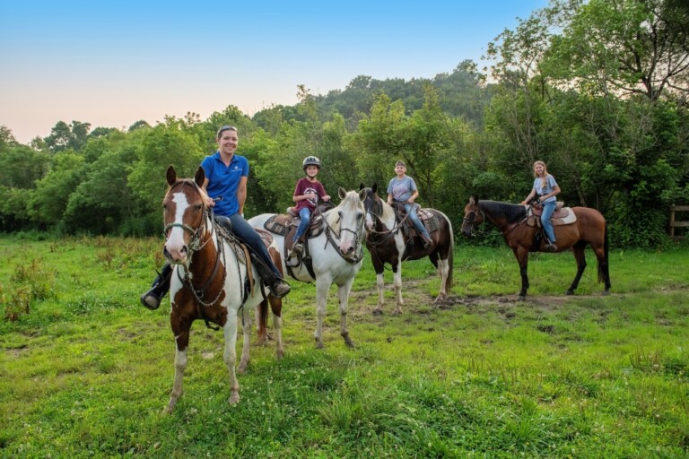 LEE 1106aa smaller 2 768x512