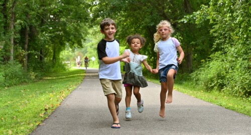 The Great Guernsey Trail featured image