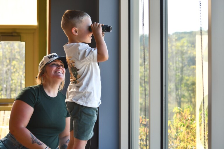 KSP 7591 smaller 768x512