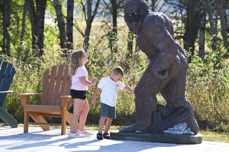 KSP 7865 smaller 768x512