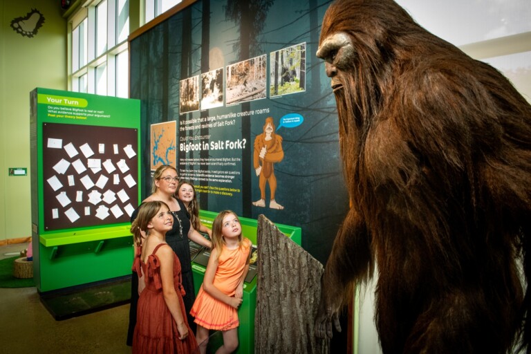 LEE 6523a smaller 768x512