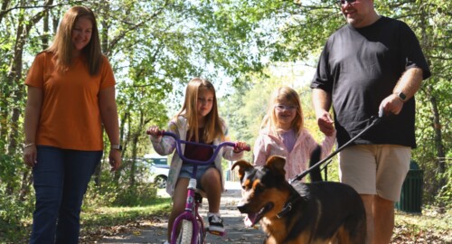 The Great Guernsey Trail featured image