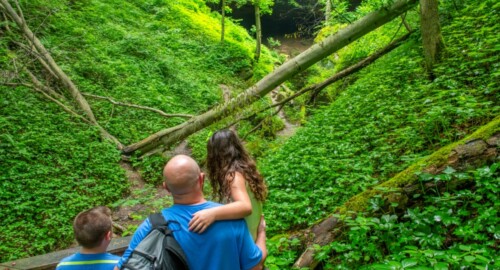 Hosak’s Cave featured image