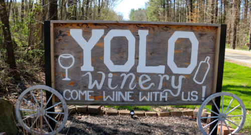 YOLO Winey featured image