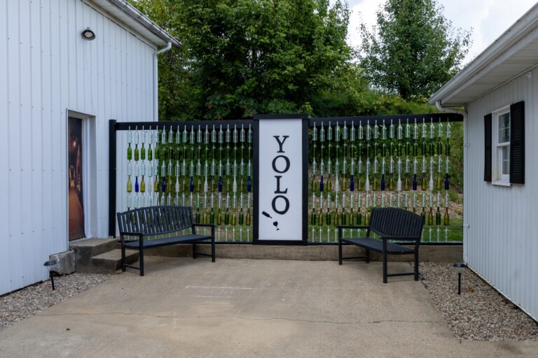 YOLO 21 smaller 768x512