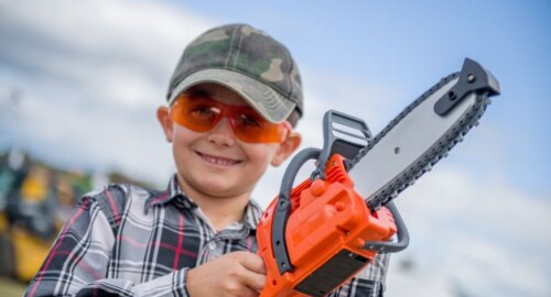 The Paul Bunyan Show featured image